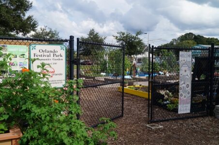 The First Feast Project, Part 3: Growing a Feast When You Don’t Own Land Image